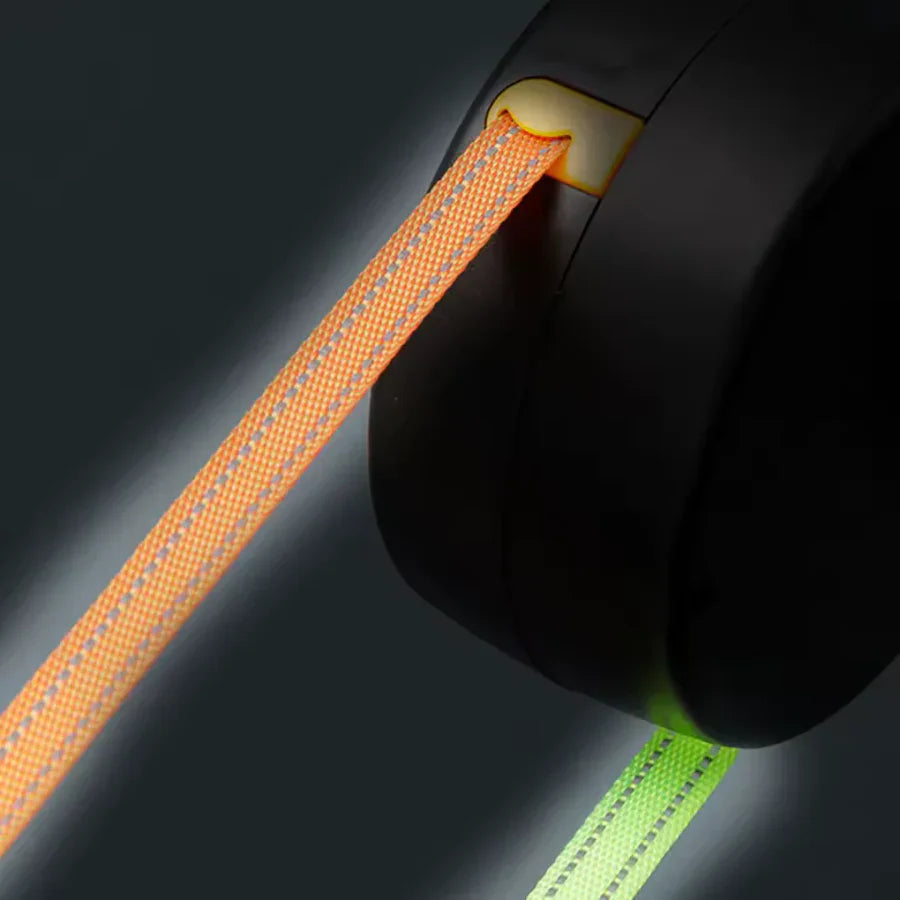 Smart Dual Leash