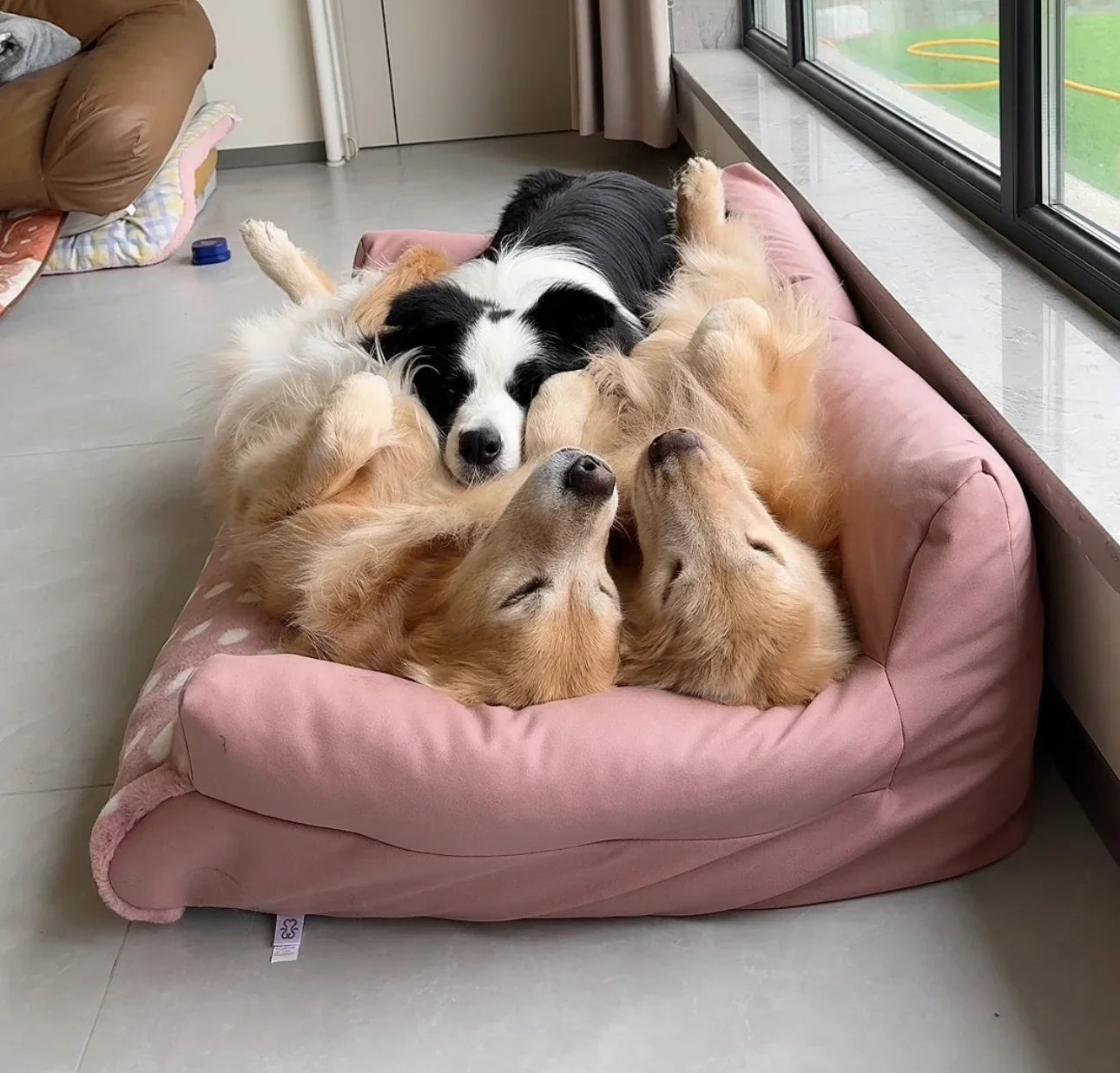 Squishy Bed