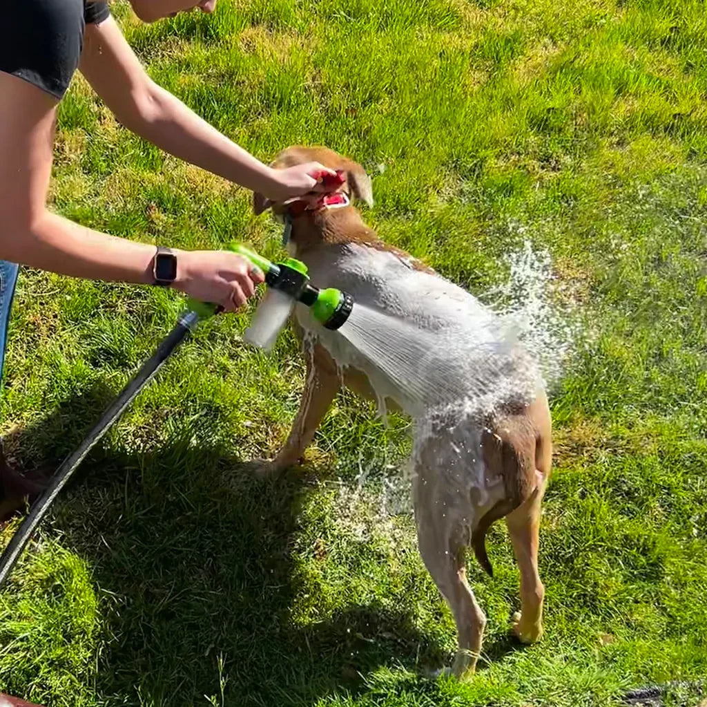 Pup Jet Pro