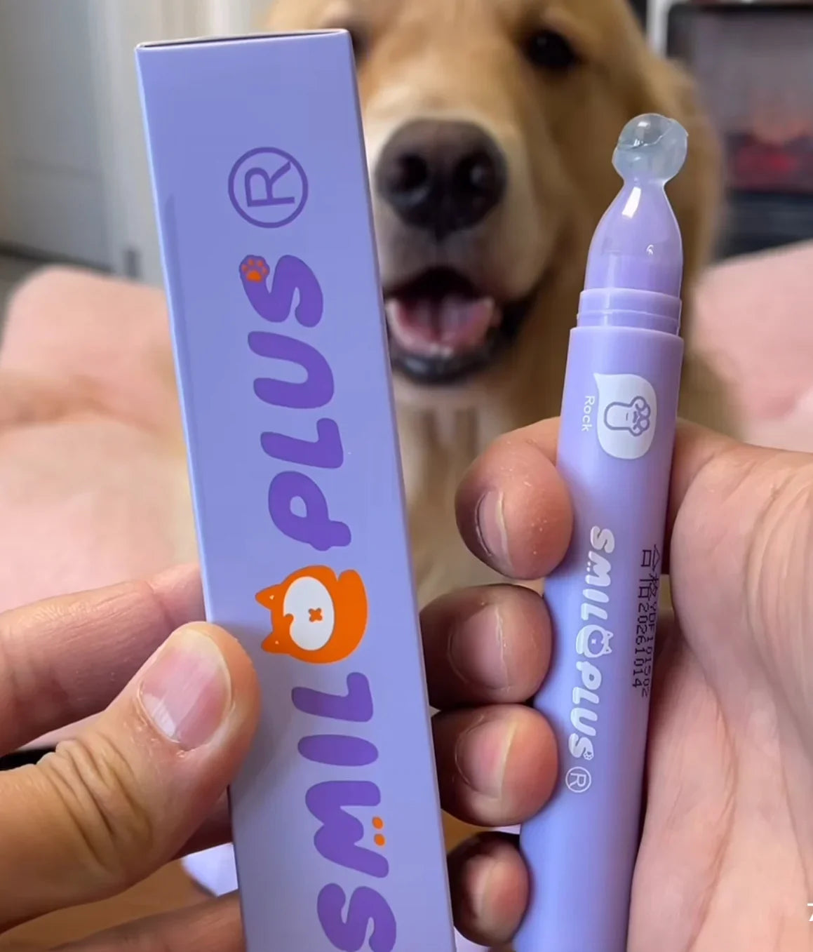 Paw Care Roller
