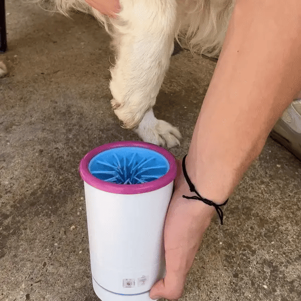 Automatic Paw Cleaner