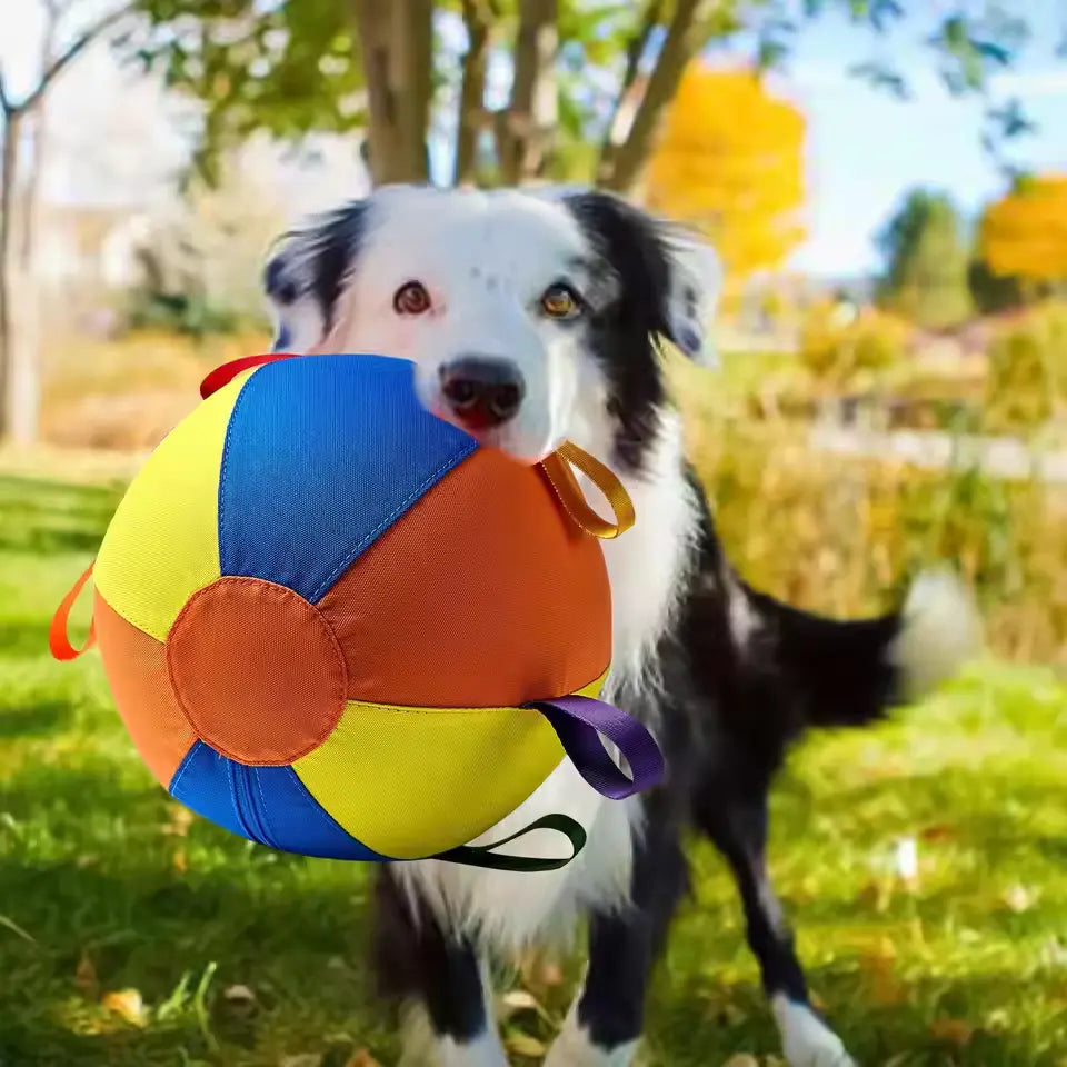 Giant Dog Ball