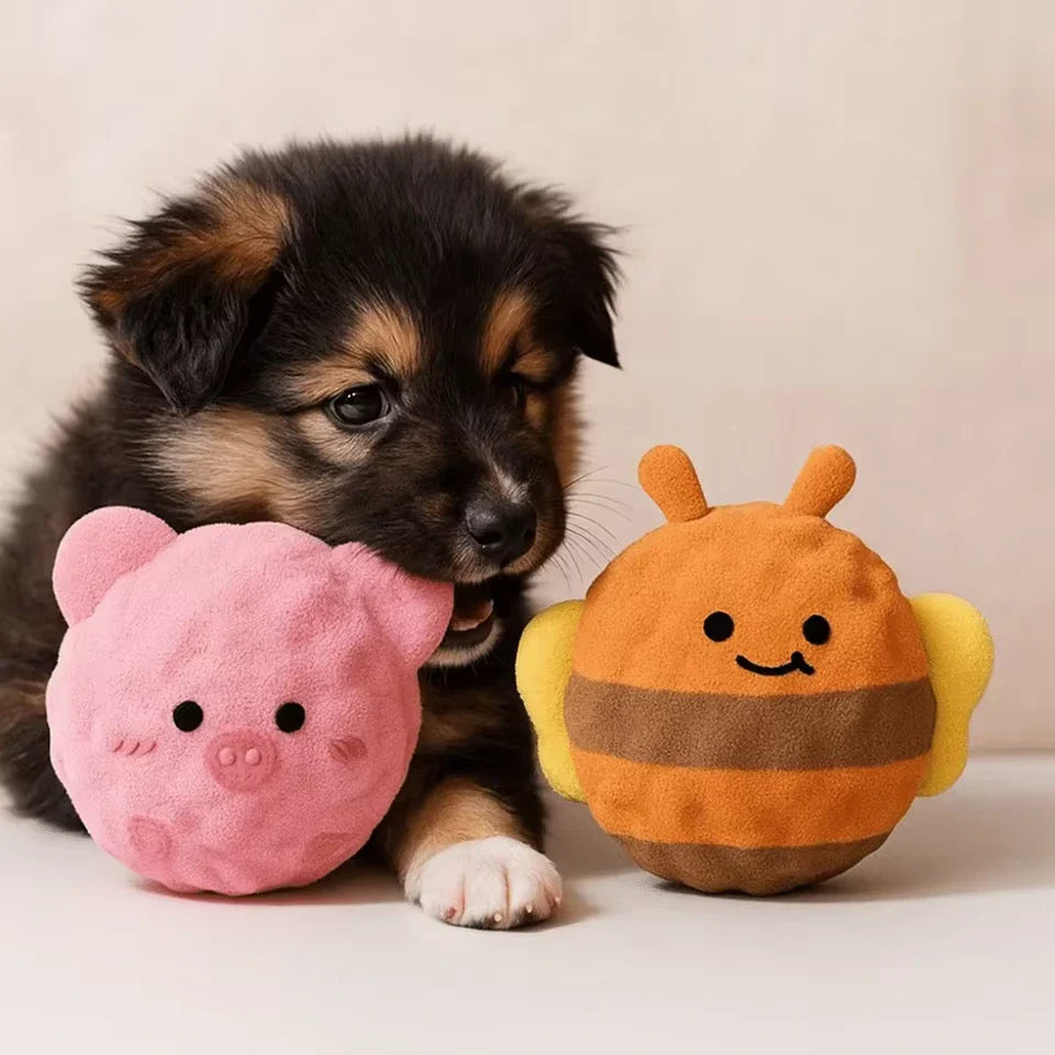 Dog Chew Toy