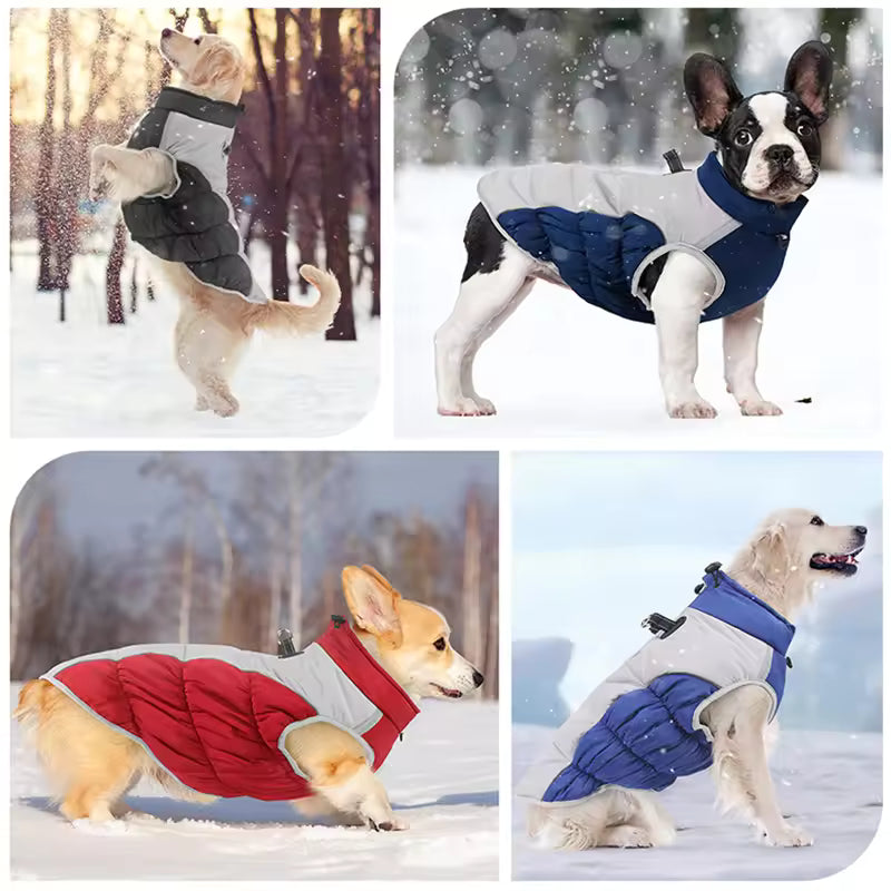 Winter Dog Jacket