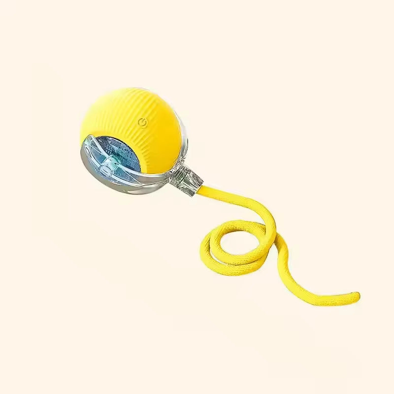 Interactive Rolling Ball