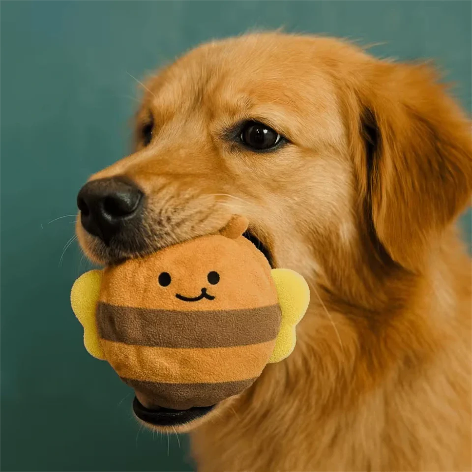 Dog Chew Toy