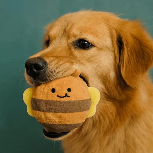 Dog Chew Toy