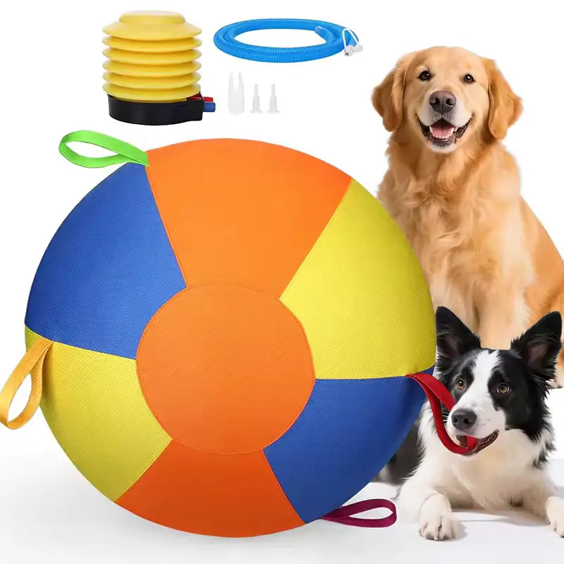 Giant Dog Ball