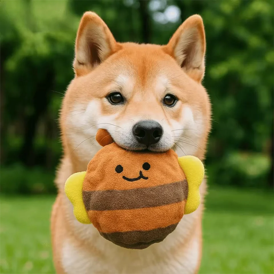 Dog Chew Toy