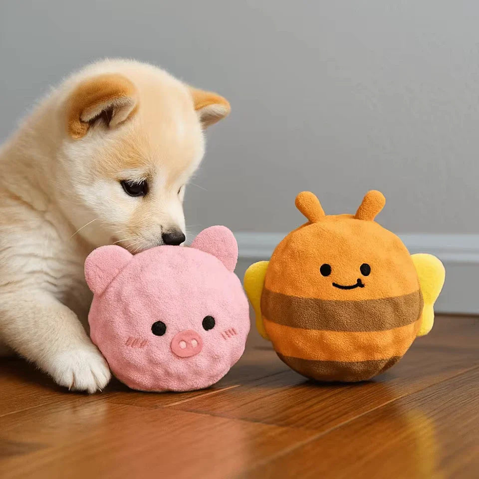 Dog Chew Toy