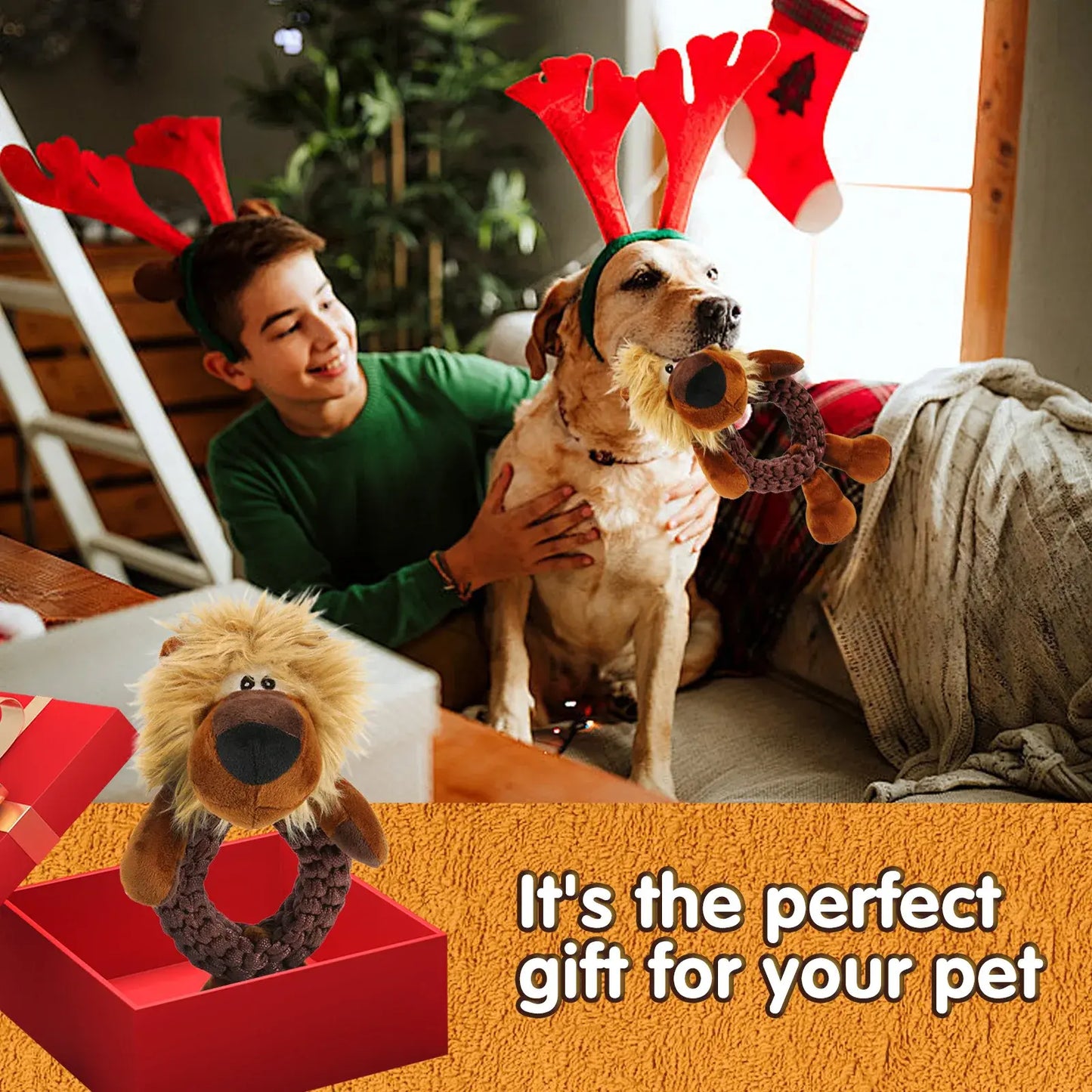 Indestructible Chew Toy