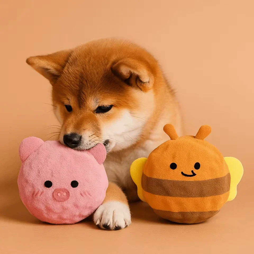 Dog Chew Toy