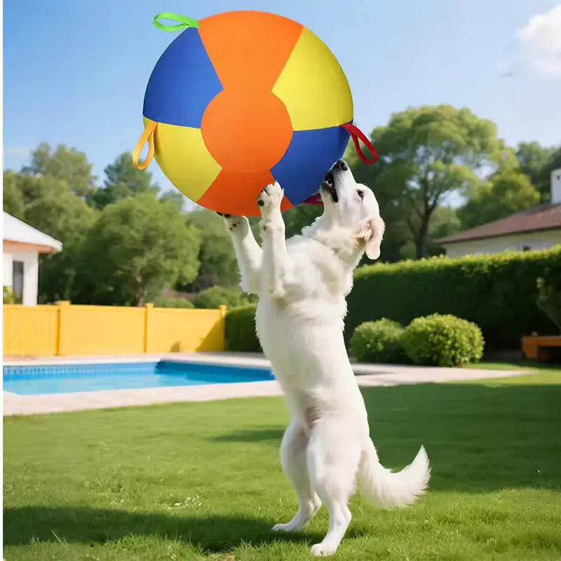 Giant Dog Ball