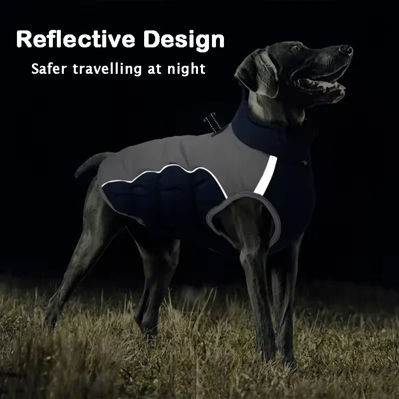 Winter Dog Jacket