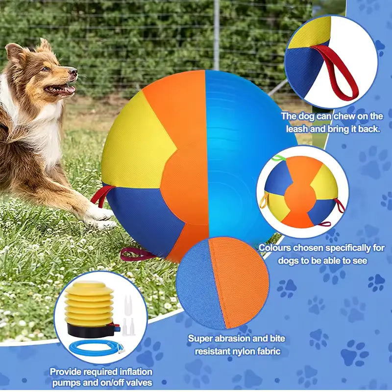 Giant Dog Ball