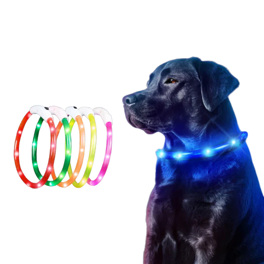 LED Dog Collar