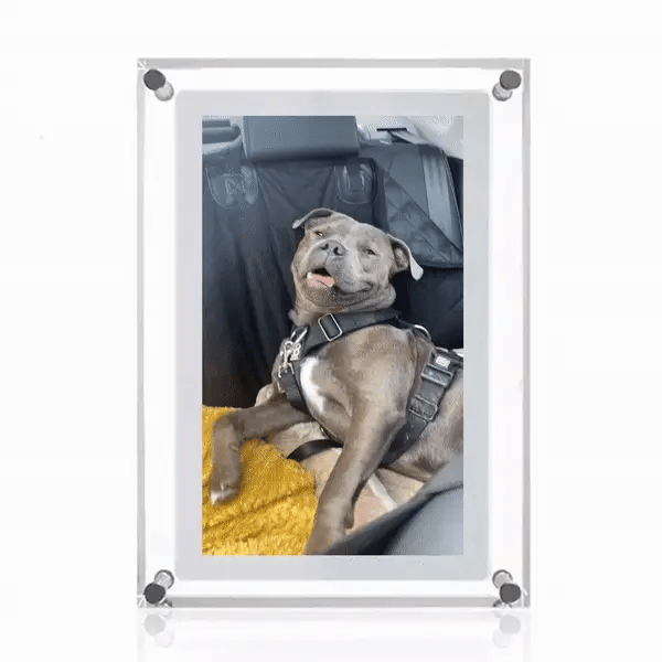 Live Motion Frame