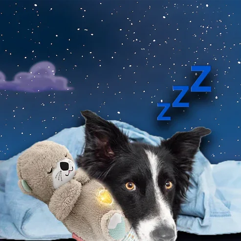 Snuggly Plushy